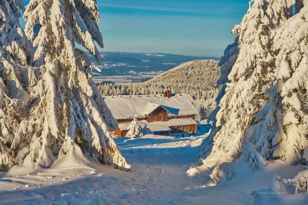 Agroturystyka,, Ranczo Kruszynki" Stronie Slaskie Exterior photo